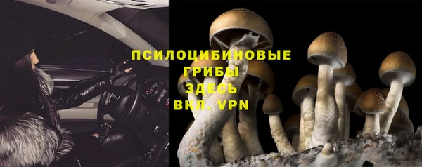 MDMA Premium VHQ Бугульма