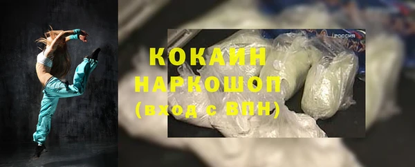 твердый Бородино