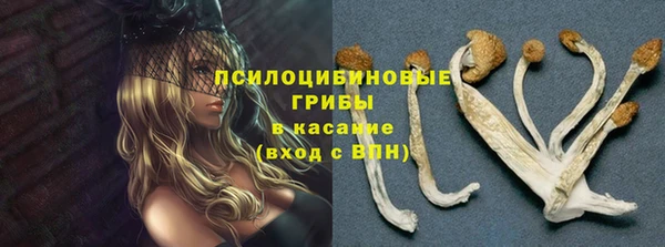 Альфа ПВП Богородск