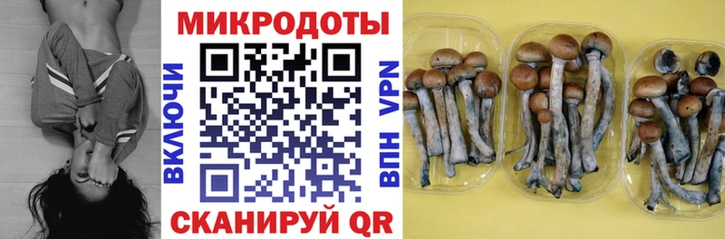 Псилоцибиновые грибы ЛСД  где продают   mega зеркало  Красный Кут 