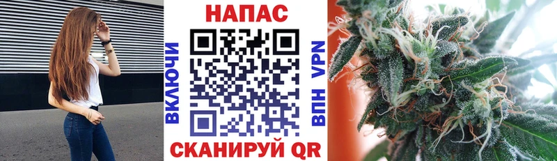 Шишки марихуана марихуана  где продают   Красный Кут 